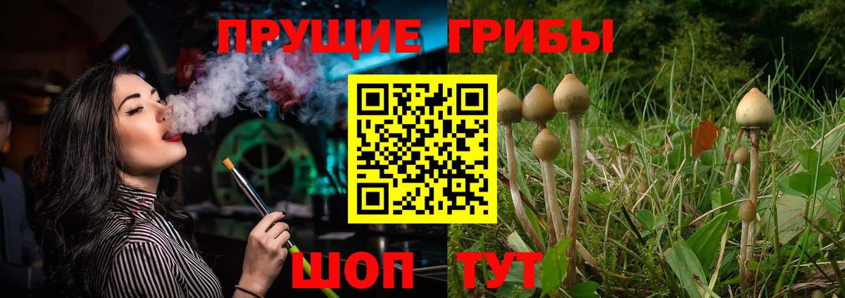 Галлюциногенные грибы Cubensis  Вход с VPN  Псилоцибиновые грибы ЛСД  Людиново 